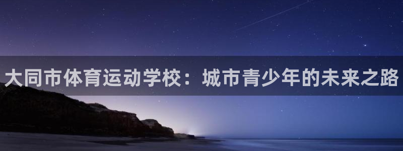 3377体育官方集团官网：大同市体育运动学校：城市青