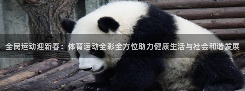 3377体育官方正版app五金厂：全民运动迎新春：体