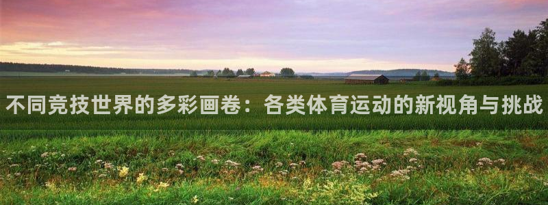 3377体育官网下载平台注册：不同竞技世界的多彩画卷