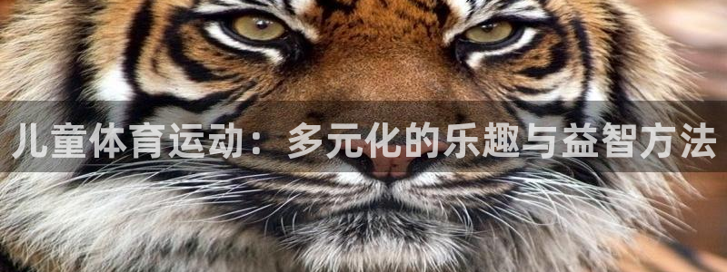 3377体育官方正版app集团官网首页：儿童体育运动