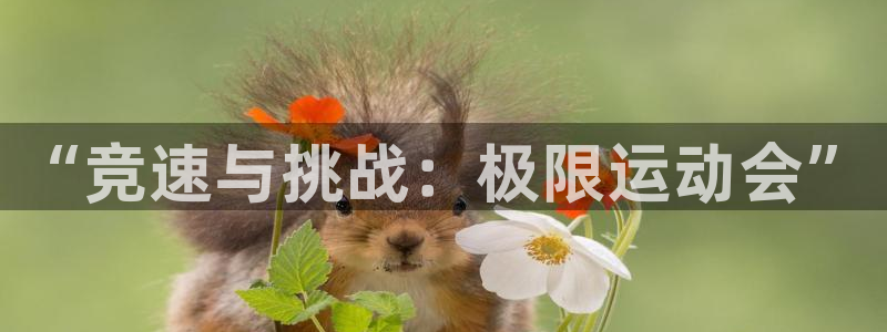 3377体育官方集团官网：“竞速与挑战：极限运动会”