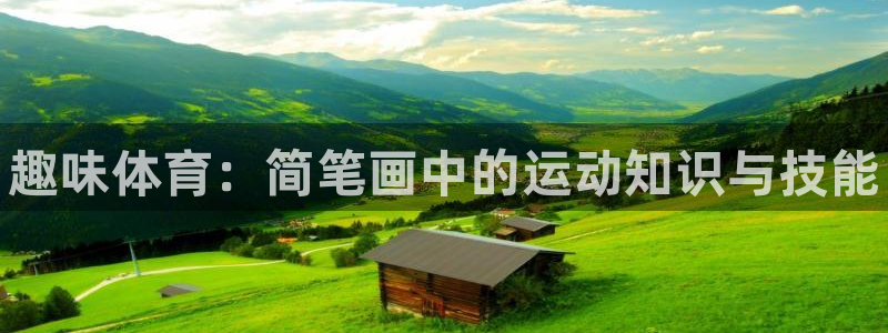 3377体育官网下载是干嘛的公司：趣味体育：简笔画中