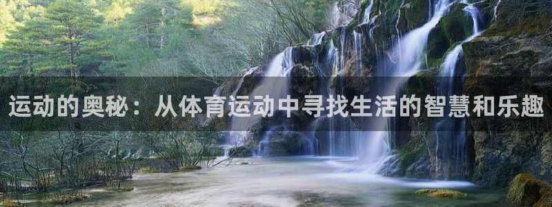 3377体育官网下载平台注册：运动的奥秘：从体育运动