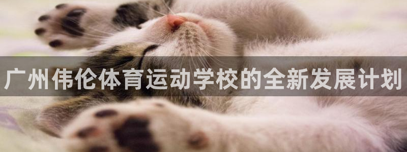 3377体育官方正版app娱乐网站：广州伟伦体育运动