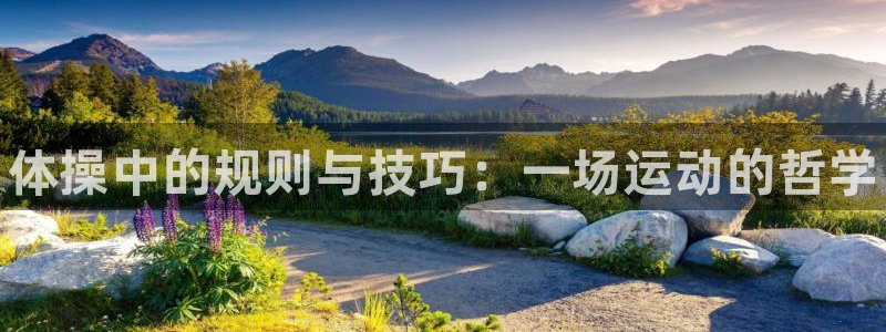 3377体育官网下载平台注册要钱吗：体操中的规则与技
