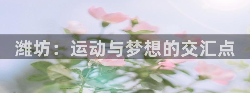 3377体育官网下载平台注册：潍坊：运动与梦想的交汇