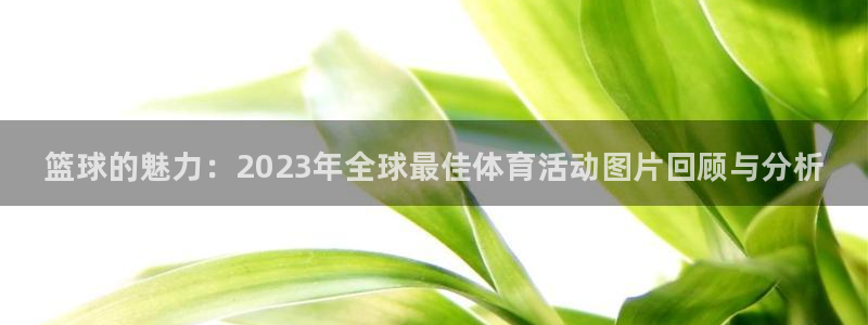 3377体育官方正版app新能源：篮球的魅力：202