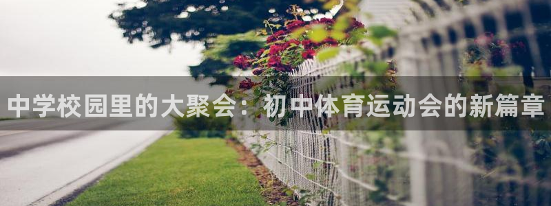 3377体育官网下载招商电话号码是多少啊：中学校园里
