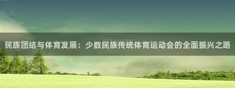 3377体育官网下载：民族团结与体育发展：少数民族传