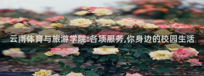 3377体育官网下载注册：云南体育与旅游学院:各项服