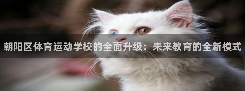 3377体育官网下载软件：朝阳区体育运动学校的全面升