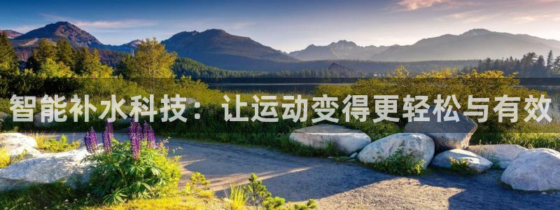 3377体育官方正版app新能源：智能补水科技：让运