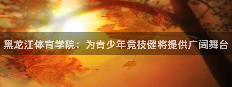 德国3377体育官方正版app集团：黑龙江体育学院：