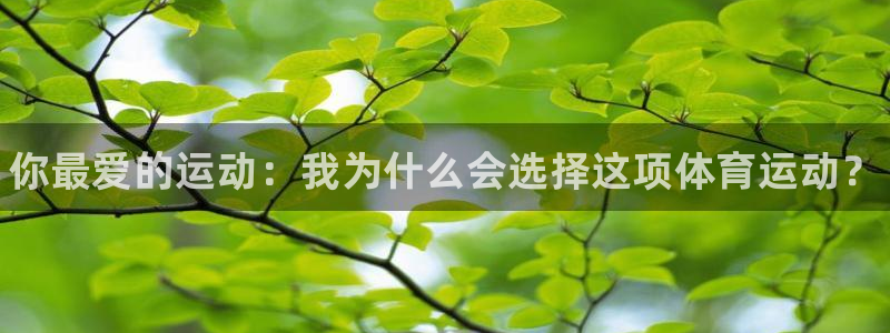 3377体育官网下载平台注册要钱吗：你最爱的运动：我