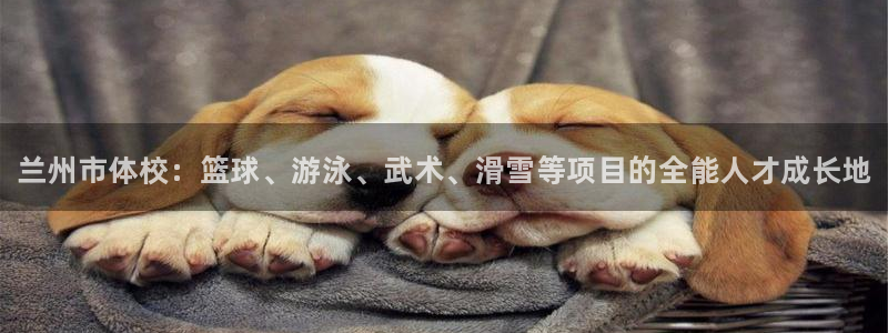 3377体育官网下载招商电话是多少：兰州市体校：篮球、游泳、