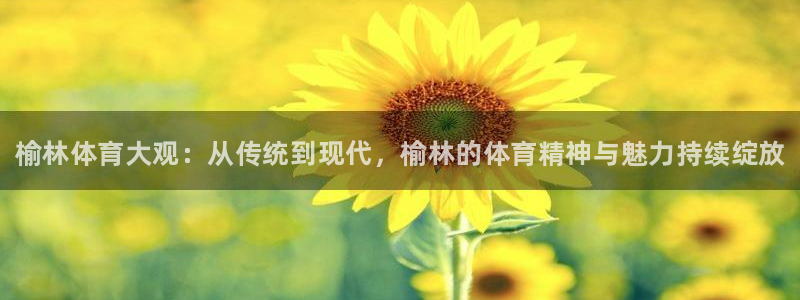 3377体育官网下载平台注册流程视频：榆林体育大观：