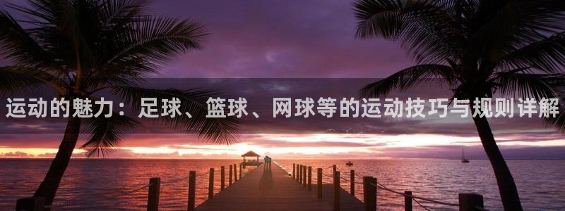 3377体育官网下载开户：运动的魅力：足球、篮球、网球等的运