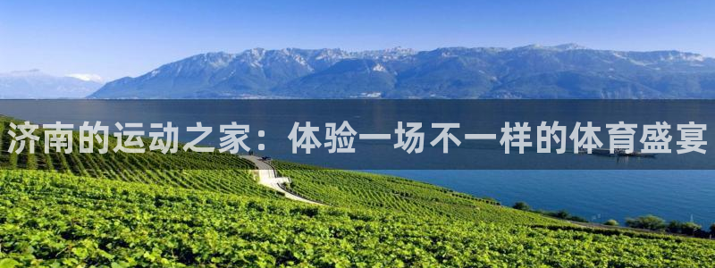 3377体育官方正版app集团logo：济南的运动之家：体验