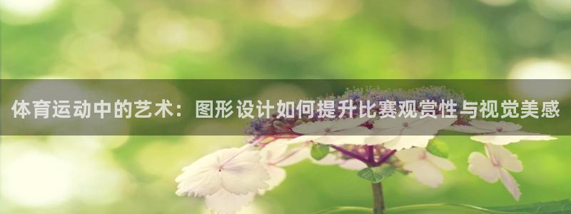 3377体育官方正版app新能源：体育运动中的艺术：图形设计