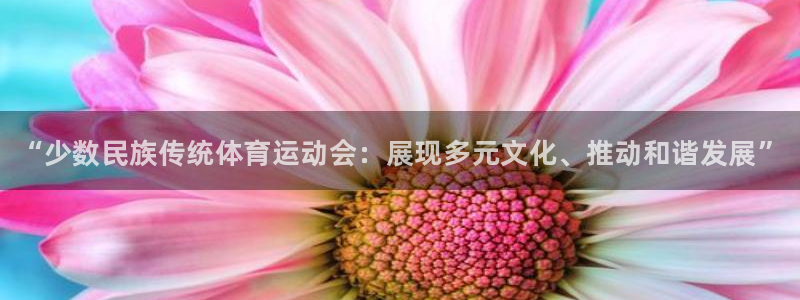 3377体育官网下载平台是正规平台吗安全吗：“少数民族传统体
