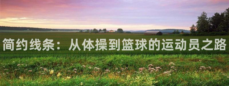 3377体育官网下载平台注册：简约线条：从体操到篮球的运动员