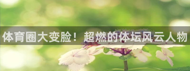 海南3377体育官网下载