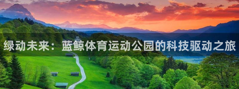 海南3377体育官网下载：绿动未来：蓝鲸体育运动公园的科技驱