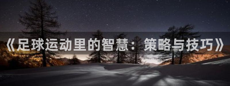 3377体育官网下载平台注册：《足球运动里的智慧：策