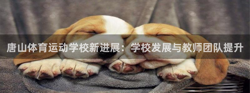 3377体育官网下载招商电话号码是多少：唐山体育运动学校新进