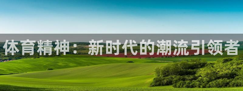 3377体育官网下载平台注册要钱吗是真的吗：体育精神