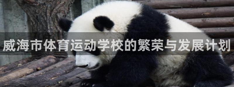 3377体育官网下载联系电话：威海市体育运动学校的繁荣与发展