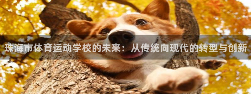 3377体育官网下载招商电话是多少号码：珠海市体育运动学校的