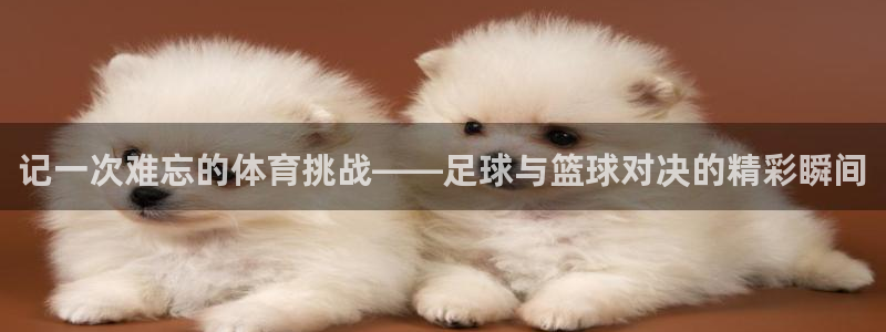 3377体育官方正版app集团官网首页网址：记一次难忘的体育