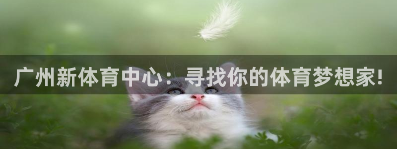 3377体育官方正版app神州：广州新体育中心：寻找你的体育